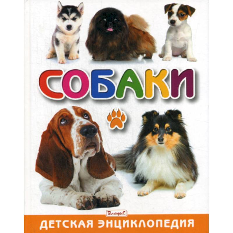 Собаки