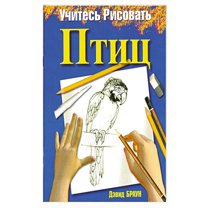 Учитесь рисовать птиц