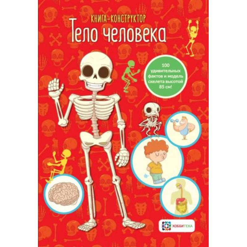 Тело человека.  Книга - конструктор