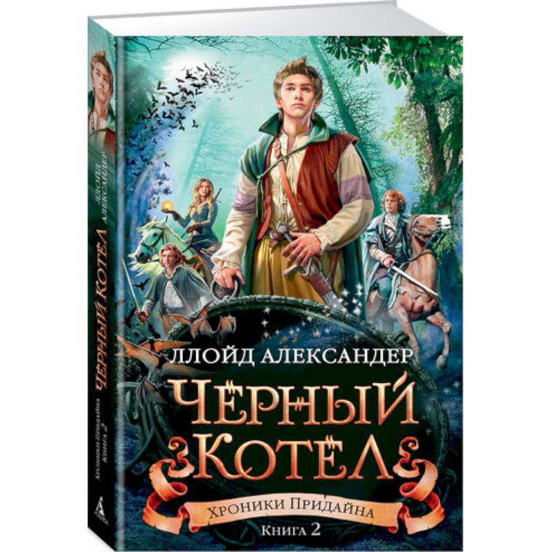 роники Придайна. Книга 2. Чёрный котёл