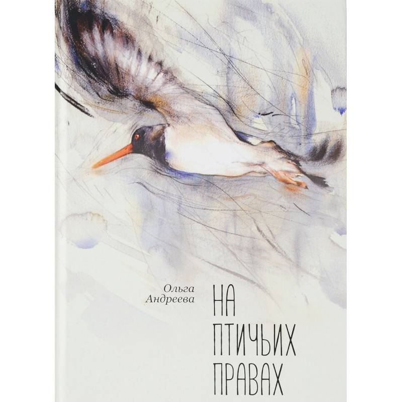 На птичьих правах