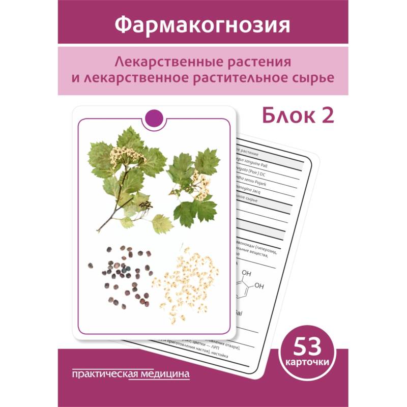 Фармакогнозия. Блок 2 (53 карточки). Лекарственные растения и лекарственное растительное сырье. Учебное пособие202