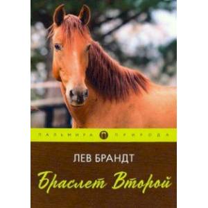 Браслет Второй