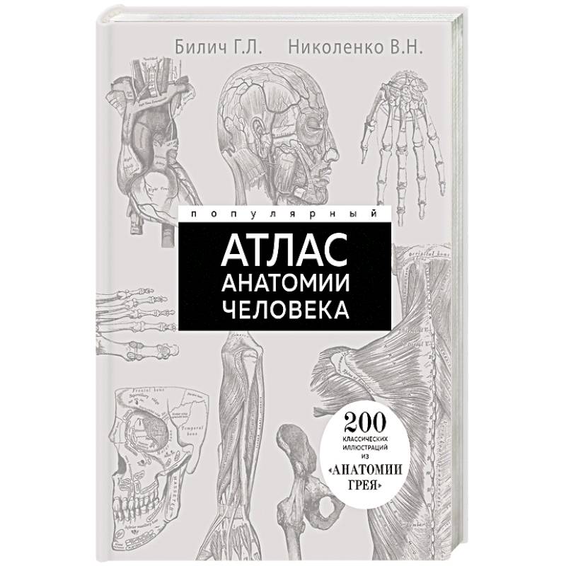 Популярный атлас анатомии человека. 200 классических иллюстраций из «Анатомии Грея»