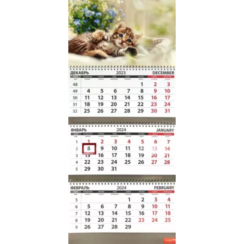Календарь квартальный на 2024 год Котята. Цветы