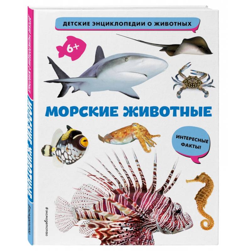 Морские животные Морские животные