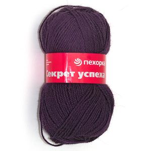 Секрет успеха. Цвет 191-Ежевика. 10x100 г.