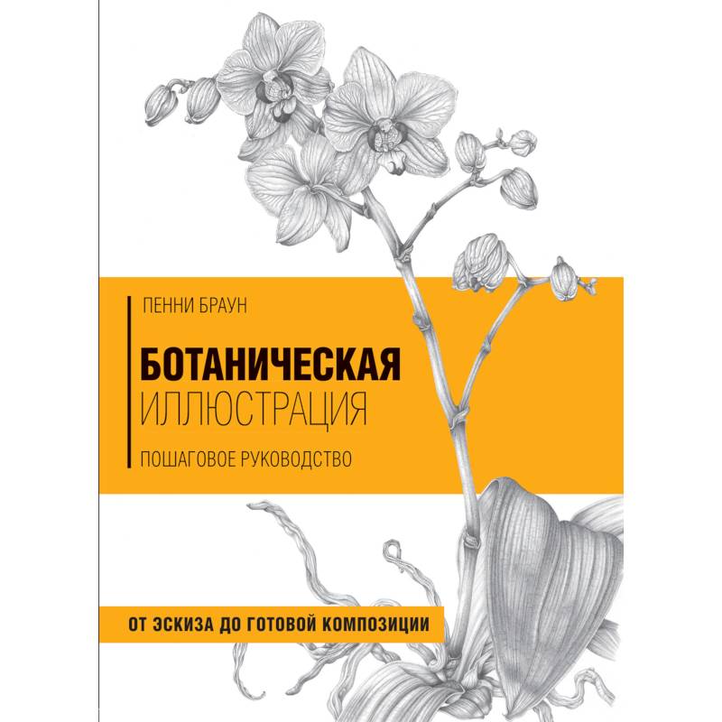 Ботаническая иллюстрация пошаговое руководство от эскиза до готовой композиции