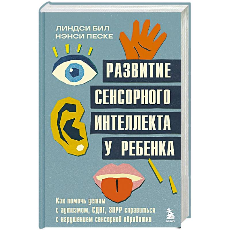 Развитие сенсорного интеллекта у ребенка. Как помочь детям с аутизмом, СДВГ, ЗПРР справиться с нарушением сенсорной обработки