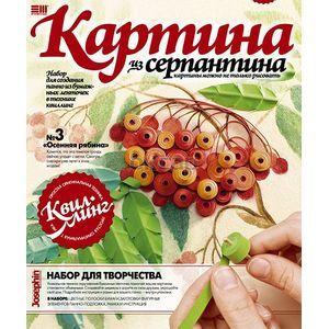 Набор №3 'Осенняя Рябина' (967003)