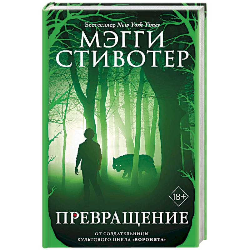 Трансформация книга. Грешник ( Стивотер Мэгги ). Сновидец Мэгги Стивотер. Мэгги Стивотер опал.