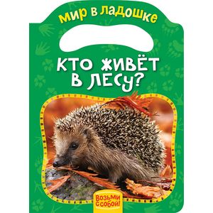 Кто живёт в лесу? Кто живёт в лесу?