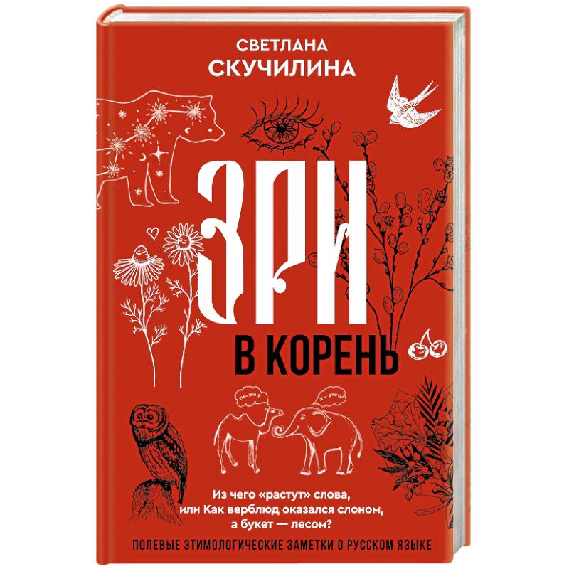 Зри в корень! Из чего 'растут' слова, или Как верблюд оказался слоном, а букет — лесом?