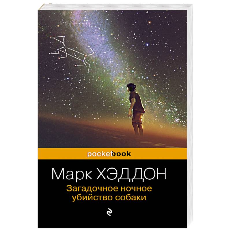 Загадочное ночное убийство собаки