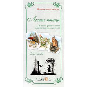 Животный мир 'Лесные птицы. И песню раннюю...'