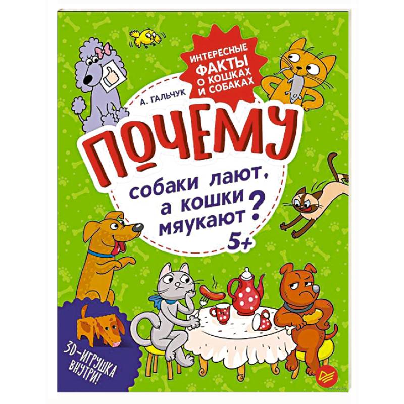 Почему собаки лают, а кошки мяукают?  Интересные факты о кошках и собаках