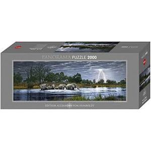 Панорама  'Стадо слонов'