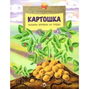 Картошка. Машина времени на грядке