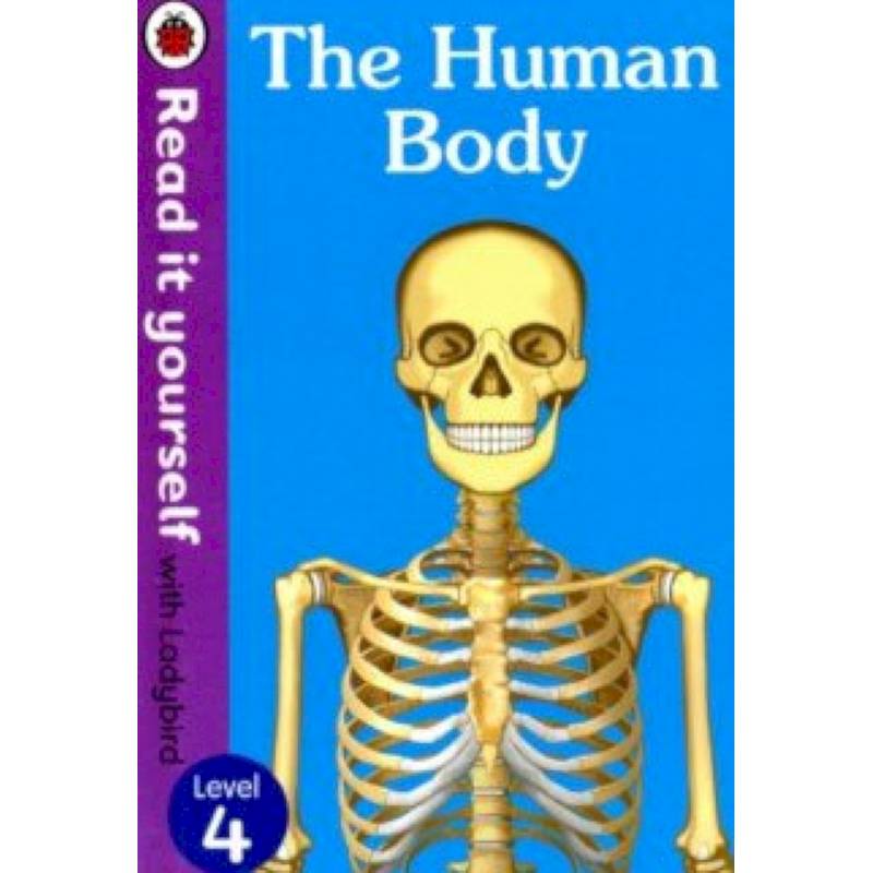 The Human Body The Human Body