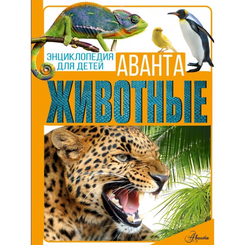Животные Животные