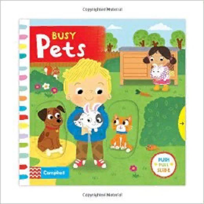 Busy Pets. Board book Busy Pets. Board book