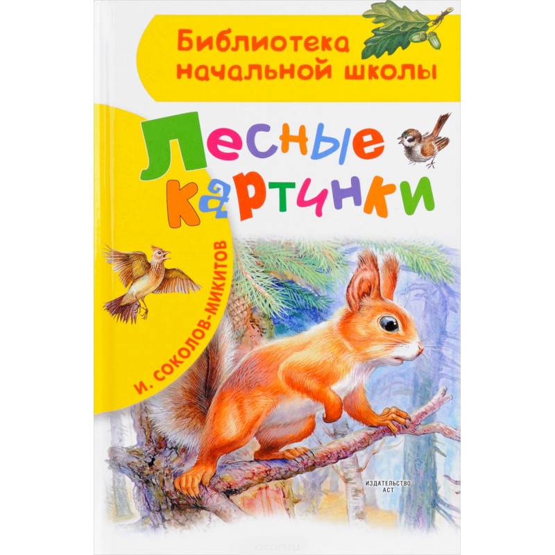 Лесные картинки Лесные картинки