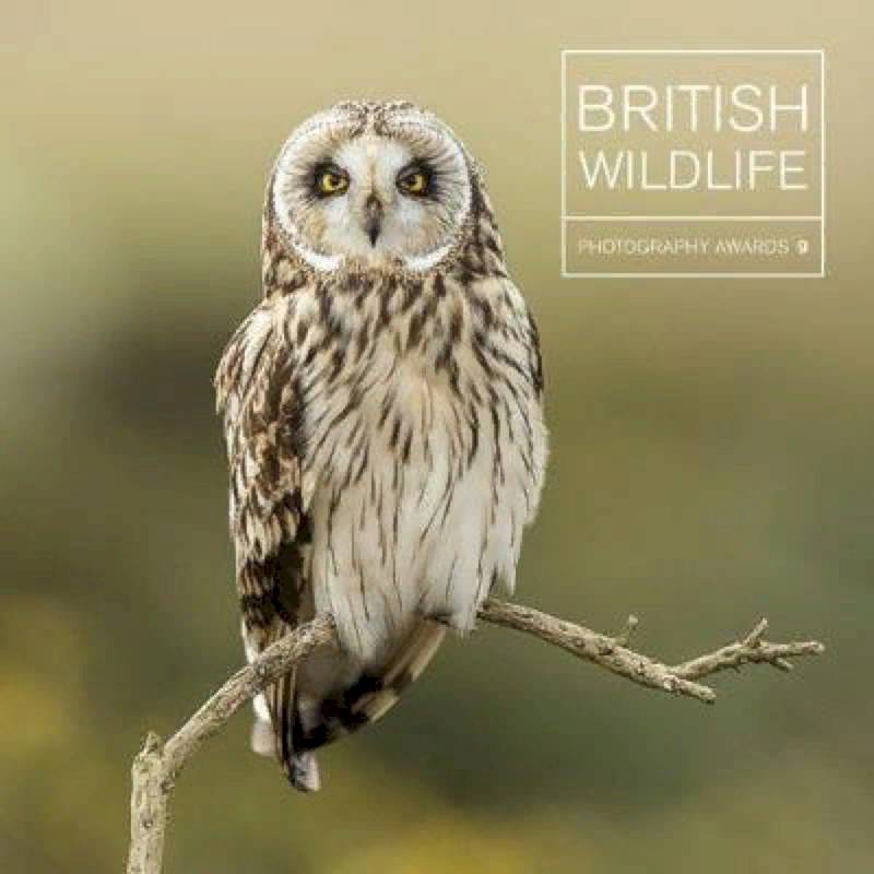 British Wildlife. Photography Awards 9