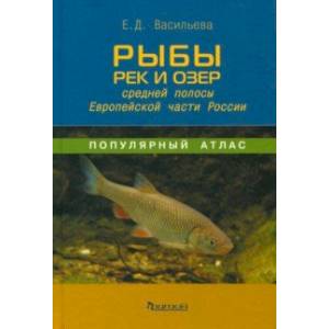 Рыбы рек и озёр средней полосы Европейской части России. Популярный атлас