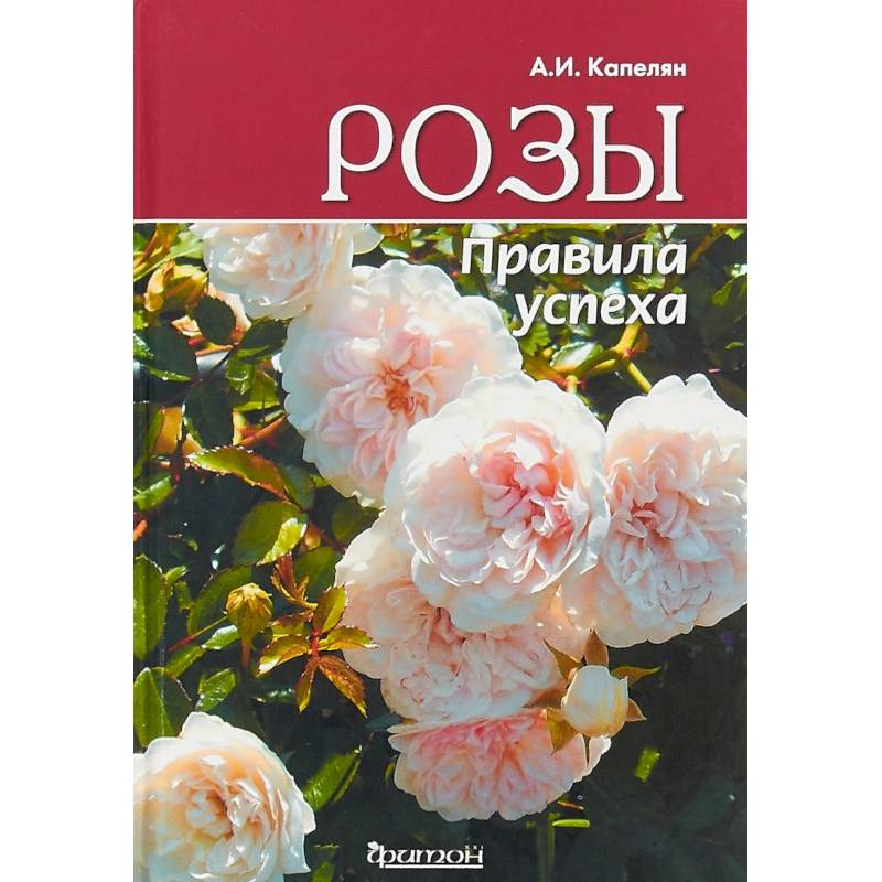 Розы. Правила успеха