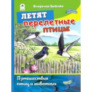 Летят перелётные птицы