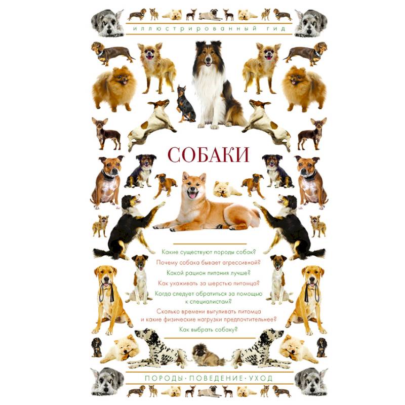 Собаки. Иллюстрированный гид