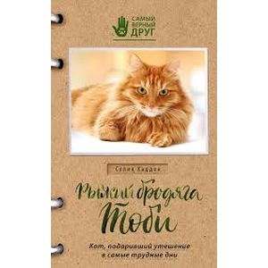 Рыжий бродяга Тоби. Кот, подаривший утешение в самые трудные дни