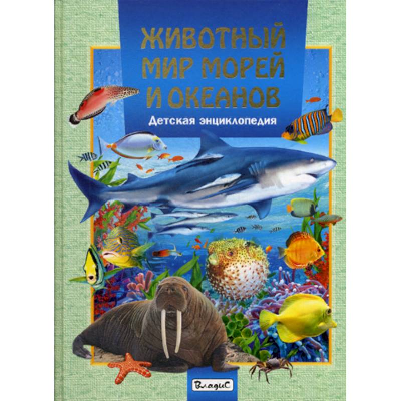 Животный мир морей и океанов