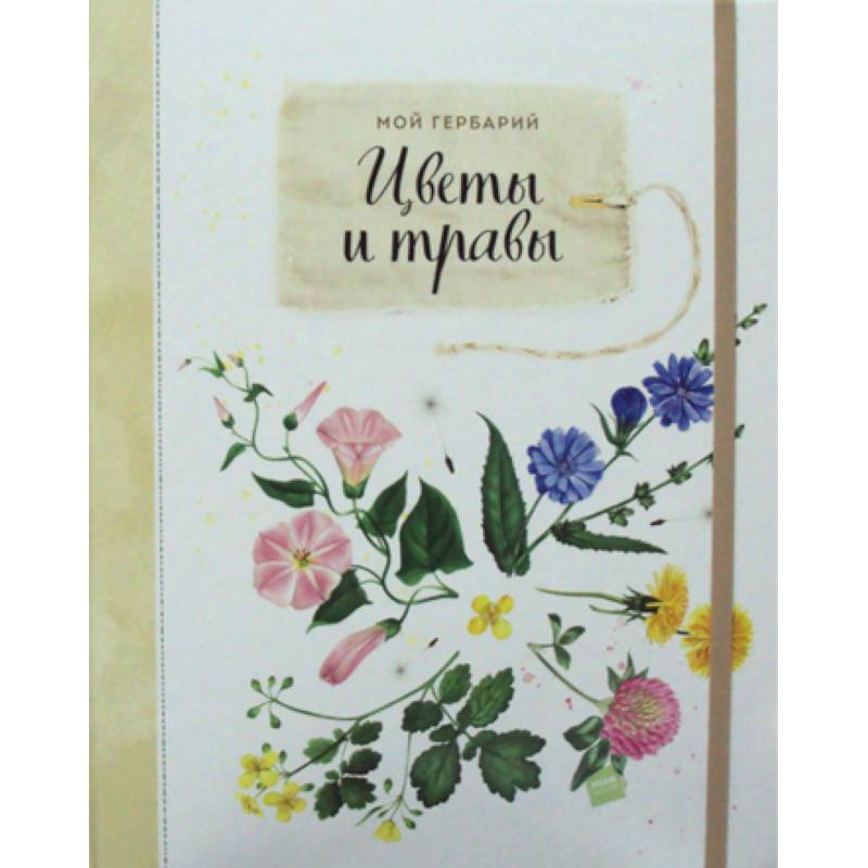 Мой гербарий. Цветы и травы