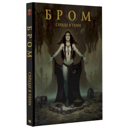 Живопись, книга Сердце в тени купить по скидке