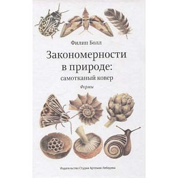 Закономерности в природе: самотканный ковер (в трех частях). Формы