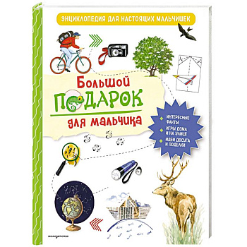 Большой подарок для мальчика. Энциклопедия для настоящих мальчишек