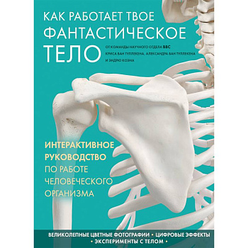 Как работает твое фантастическое тело