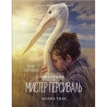 Художественная литература, книга Штормик и мистер Персиваль купить по скидке