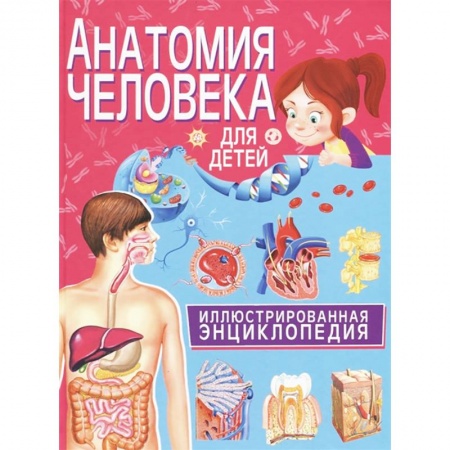Все обо всем. Универсальные энциклопедии, книга Анатомия человека для детей. Иллюстрированная энциклопедия купить по скидке