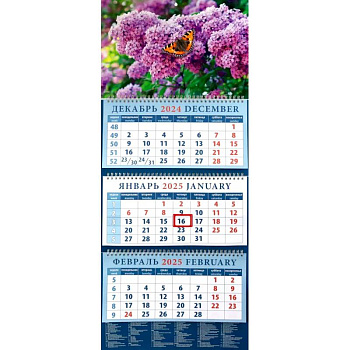 Календарь квартальный на 2025 год Бабочка на сирени