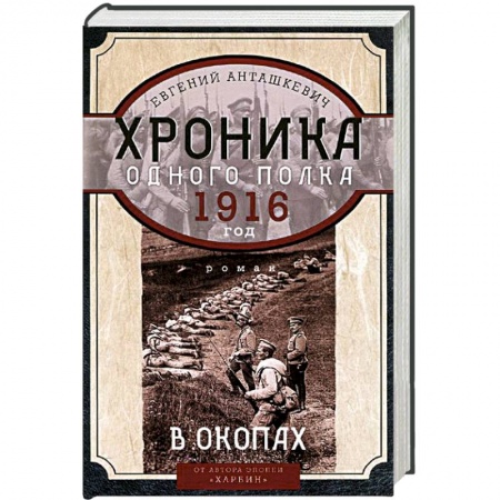 Книги, книга В окопах. 1916 год. Хроника одного полка купить по скидке