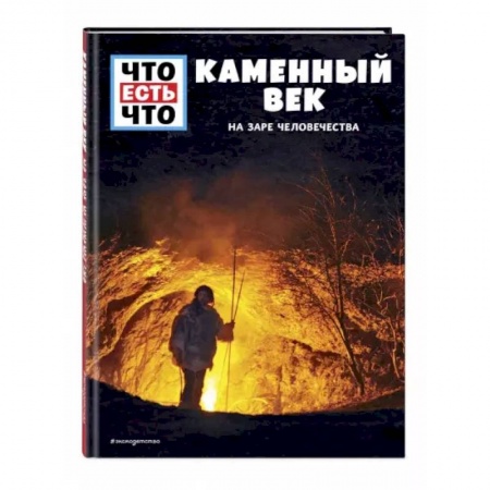 История, книга Каменный век. На заре человечества купить по скидке