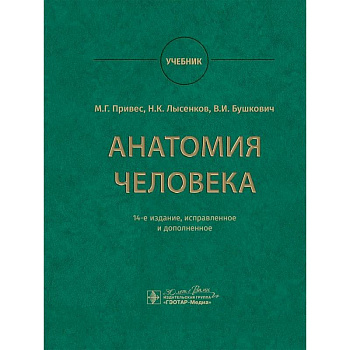 Анатомия человека. Учебник