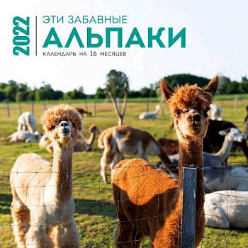 Эти забавные альпаки. Календарь настенный на 16 месяцев на 2022 год