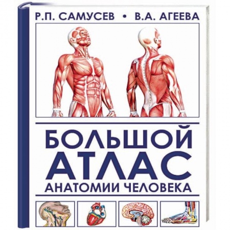 Медицинские энциклопедии и справочники, книга Большой атлас анатомии человека купить по скидке
