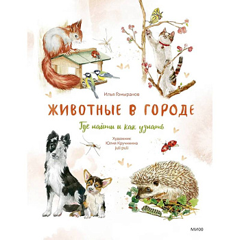 Животные в городе. Где найти и как узнать