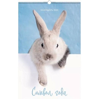 Календарь настенный перекидной на 2023 год. Символ года 5