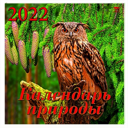 Календарь на 2022 год 'Календарь природы' (70208)