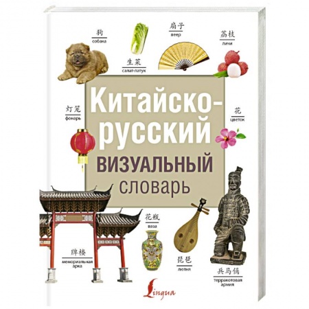 Словари, книга Китайско-русский визуальный словарь купить по скидке
